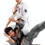 Japanese Martial Arts Training Guide for Kindle-0