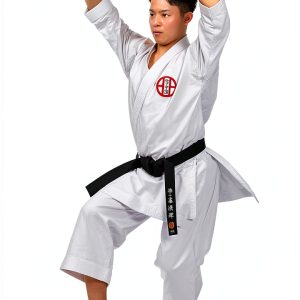Japanese Martial Arts eBook 糸東会制定形 Book 2 by Kindle-0