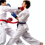 Japanese Martial Arts Kindle eBook Sports Guide 118 Pages Oct 2022-0