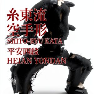Japanese Martial Arts Kindle eBook by Amazon - Sports Guide 2021-0