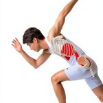 Japanese Sports Training Book by PHP研究所 - Kindle Edition-0
