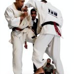 All Japan Karate Championship Program Book 23 Kindle eBook Japanese-0