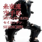 Japanese Martial Arts Kindle eBook – B08XYVVR89 – 2021 Edition-0