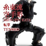 Japanese Martial Arts Kindle eBook Advanced Techniques Guide-0