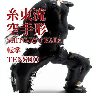 Japanese Martial Arts Kindle eBook Advanced Techniques Guide-0