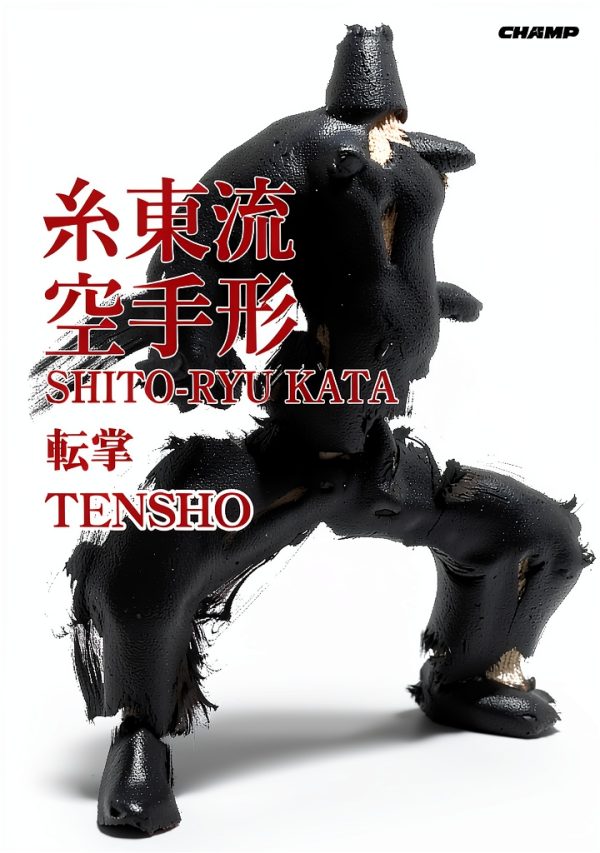 Japanese Martial Arts Kindle eBook Advanced Techniques Guide-0