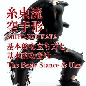 Japanese Martial Arts Training Guide for Kindle-0