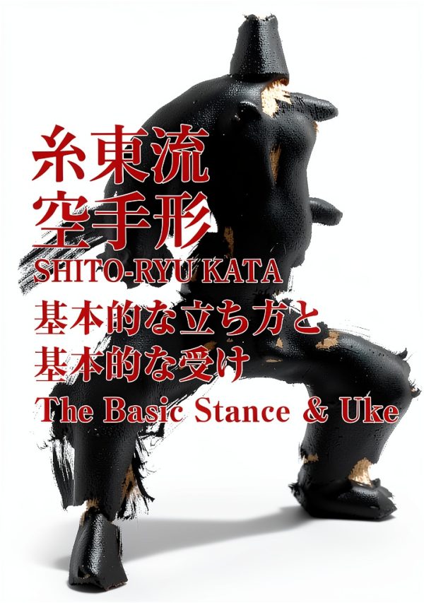 Japanese Martial Arts Training Guide for Kindle-0